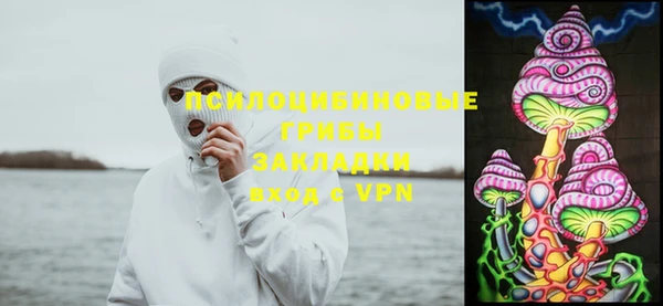 тгк Михайловск