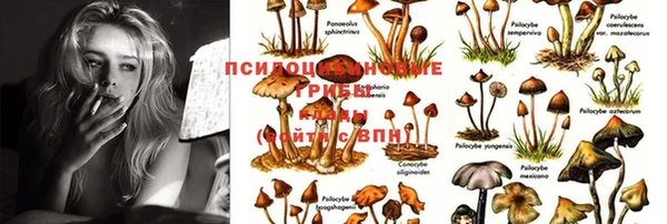 кокаин премиум Михайлов